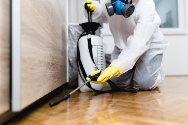 Best Bed Bug Extermination  in Rosemont, PA