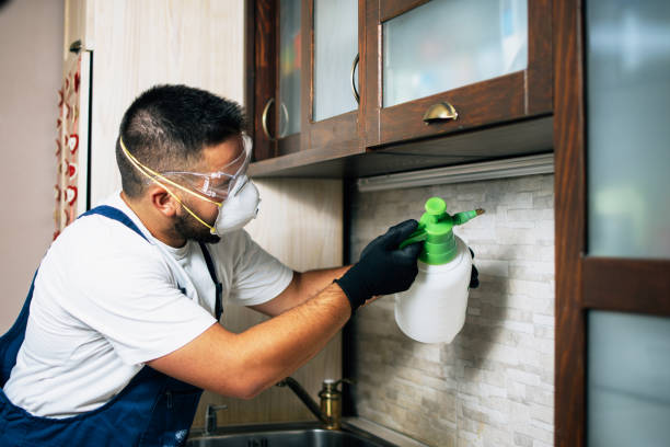 Best Termite Control Services  in Rosemont, PA