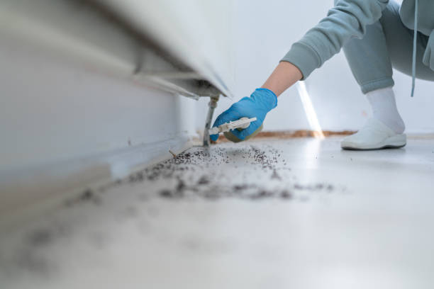 Best Cockroach Control Services  in Rosemont, PA